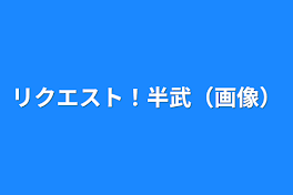 リクエスト！半武（画像）