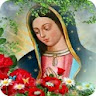 Virgen De Guadalupe icon