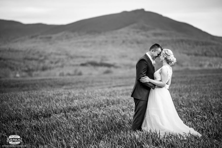 Wedding photographer Tomáš Sičák (globusfoto). Photo of 16 April 2019