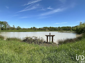 terrain à Migné (36)