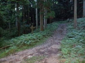 林道と合流（右に登山口）