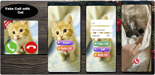 Screenshot Fake Call from cat game Simula