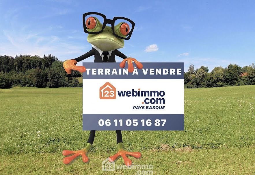 Vente terrain  1368 m² à Ascain (64310), 316 150 €