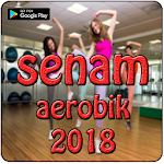 Cover Image of डाउनलोड Vidio Senam Aerobic 2018 1.0 APK