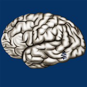 Cerebrum ID  Icon