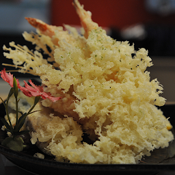 J11 Assorted Tempura Japas