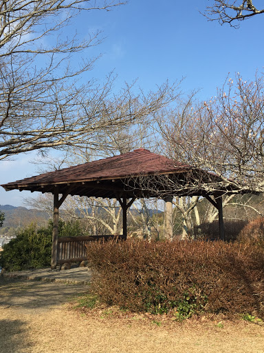 中央公園 東屋