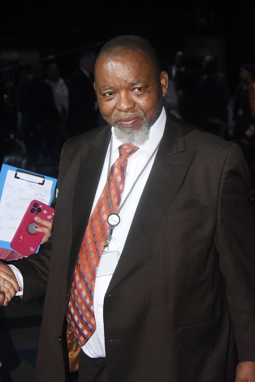 Mineral resources and energy minister Gwede Mantashe.