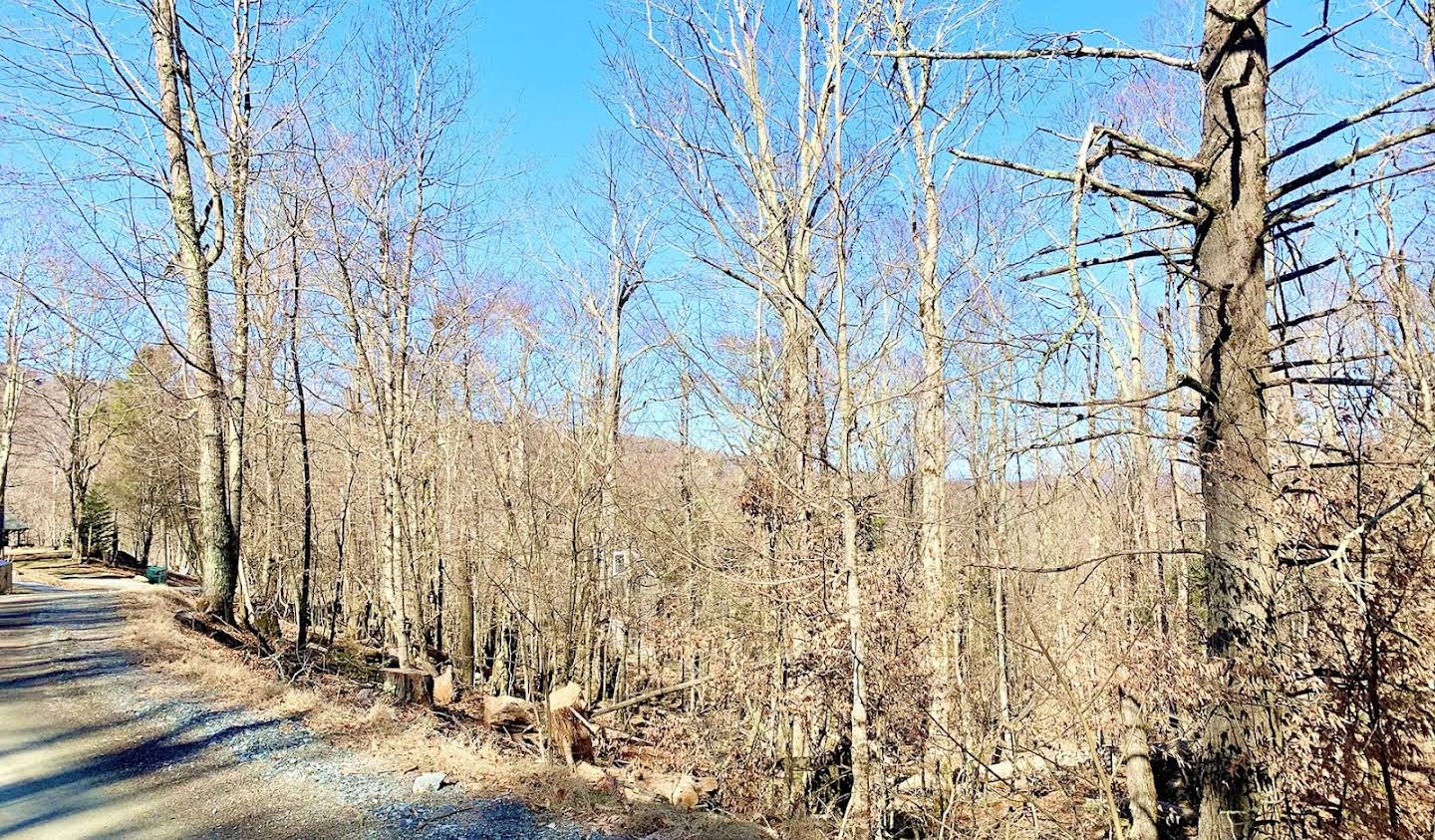 Land Beech Mountain