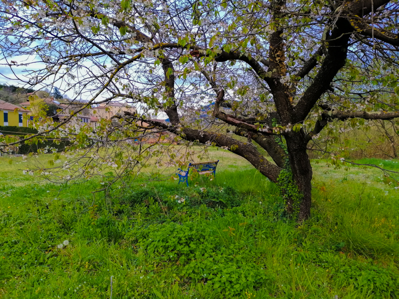 la primavera arriverà?!? di luana_sasso