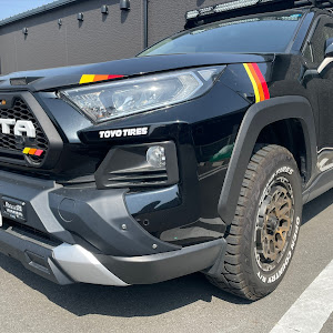 RAV4 MXAA54