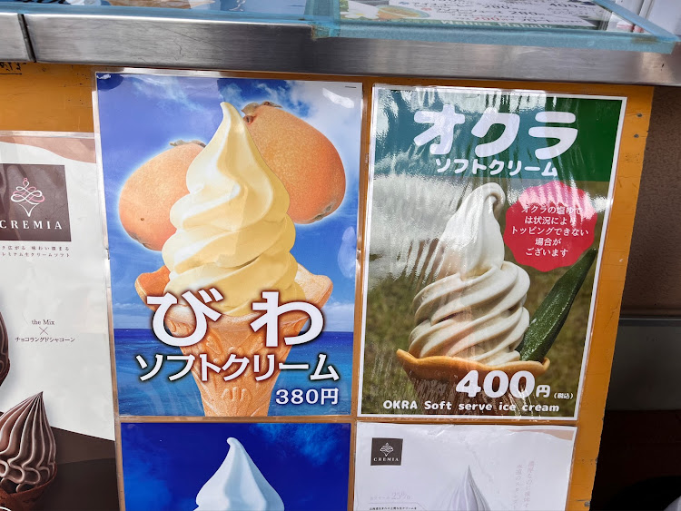 スイフトスポーツのいつもイイねやコメントありがとうございます(*´▽`人)♡・九州遠征3日目♪・ＪＲ最南端　西大山駅・開聞岳とコラボ✨・コメントスルーでOK🙆‍♀️に関するカスタム事例の投稿画像9枚目