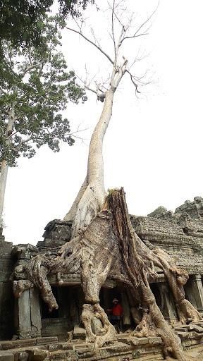 Cambodia 2016