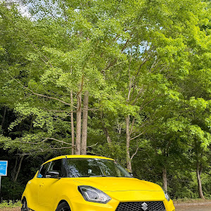 スイフトスポーツ ZC33S