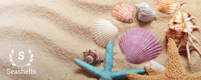 Seashells HD Wallpapers New Tab Theme marquee promo image