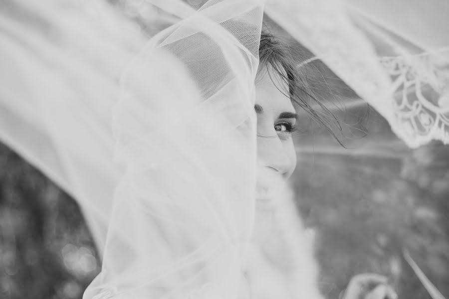 結婚式の写真家Anastasiya Petropavlovskaya (panni)。2015 12月11日の写真