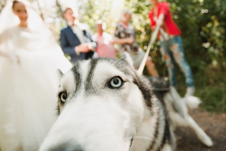 Photographe de mariage Vasiliy Saenko (vassaenko). Photo du 21 février 2016