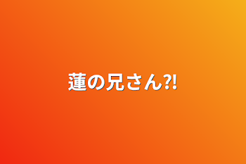 「蓮の兄さん⁈」のメインビジュアル