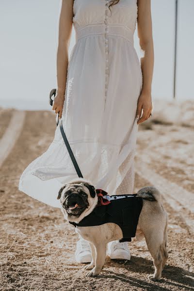 Photographe de mariage Mohammadreza Zare (mohammadzare). Photo du 14 janvier 2020