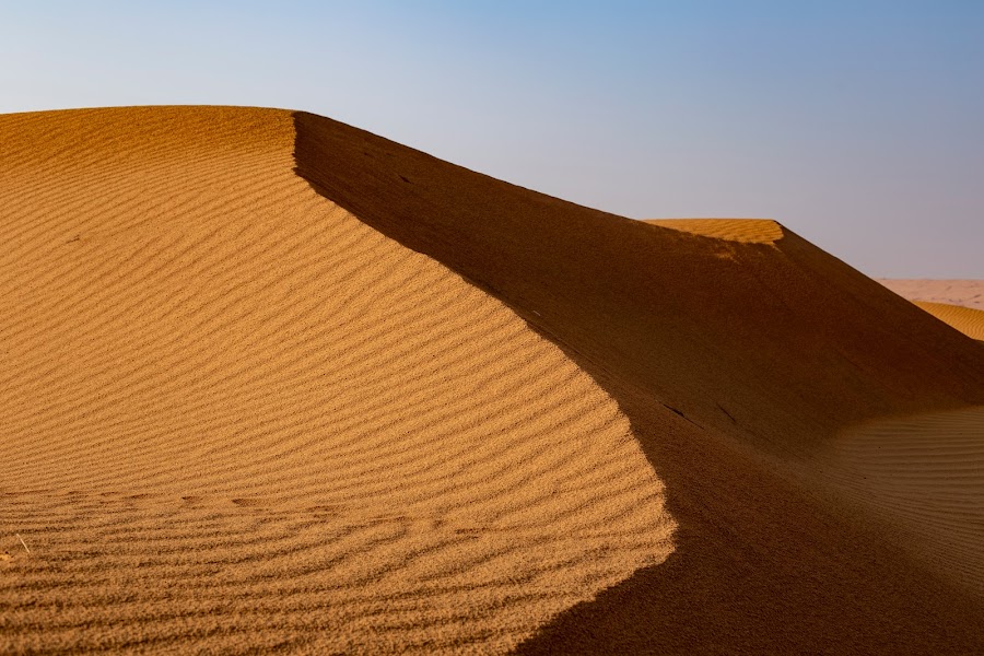 Wahiba Sands, Oman, pustynia, wydmy