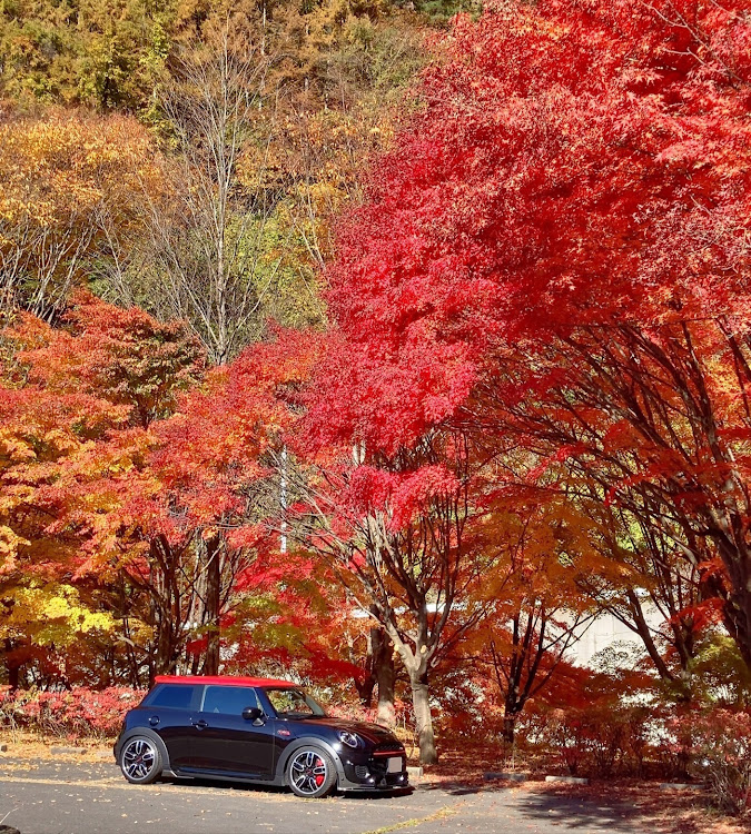 MINI ジョンクーパーワークスのいつもイイネ&コメントありがとうございます🙇‍♂️・紅葉三昧🍁🍁🍁・もみじ湖編・途中で見つけた場所🍁・まだまだあるゾ🍁に関するカスタム事例の投稿画像1枚目