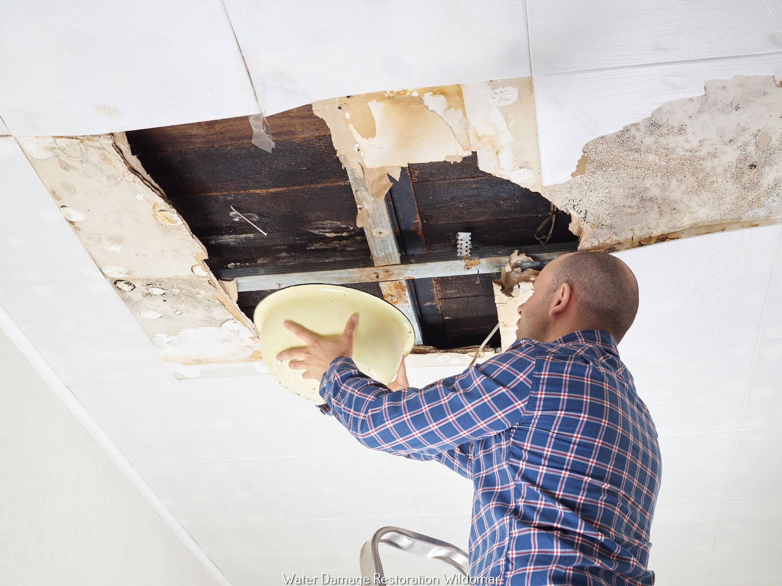 Water Damage Repair