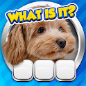 Guess it! Zoom Pic Trivia Game