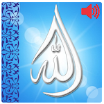 Cover Image of Tải xuống Allah 99 Names 1.0 APK