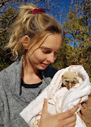 Danelle Murray and Simba a day after he was rescued. 
