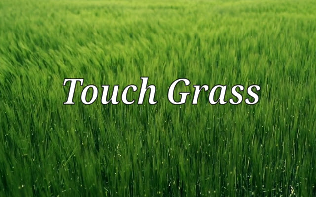 how to touch grass 