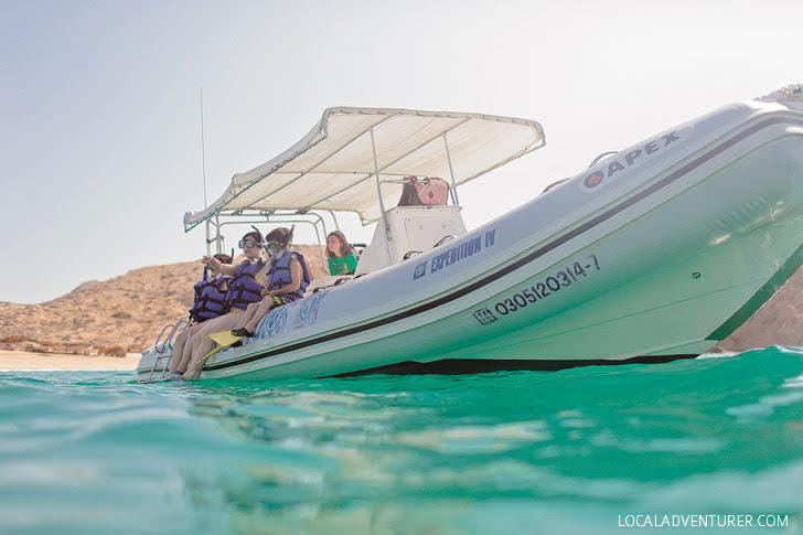 Cabo Snorkeling (Best Things to Do in Cabo San Lucas Mexico).