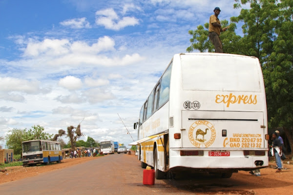 Africa bus stop di David Marrone