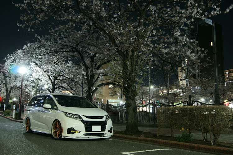 オデッセイの桜とコラボ・夜桜・ドライブ・医療従事者にエールを❗️・コロナウイルスに負けるなに関するカスタム事例の投稿画像2枚目