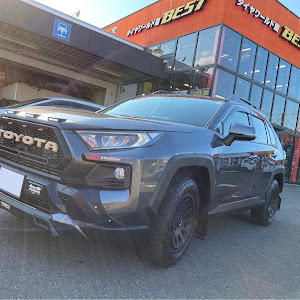 RAV4 MXAA54