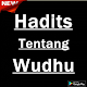 Download Hadis Tentang Wudhu For PC Windows and Mac 5.1