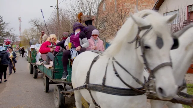 Što je Rio za svet to su Golubinci za Srem - Održane 21. Mačkare