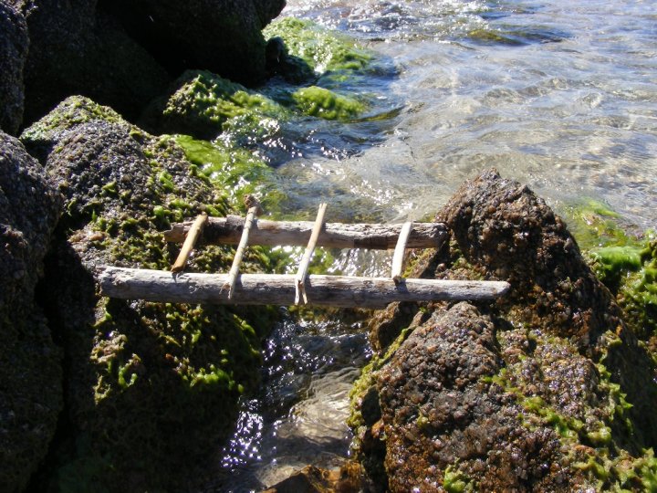 Il ponte dei bambini di albertolecchi