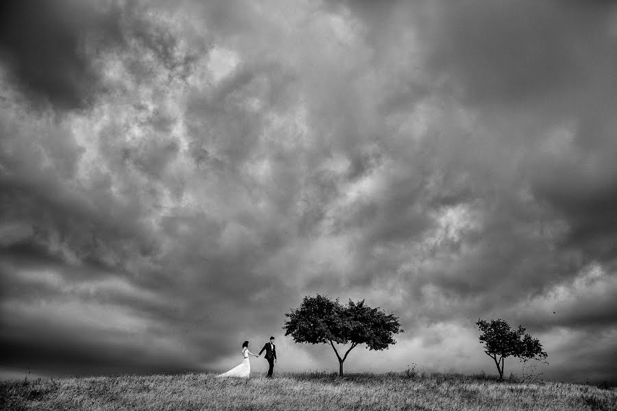 Fotografo di matrimoni Marius Barbulescu (mariusbarbulescu). Foto del 16 novembre 2015