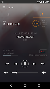 iRoar Remote Assistant Screenshot