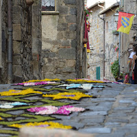 Infiorata di 