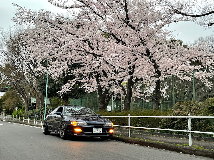 の投稿画像12枚目