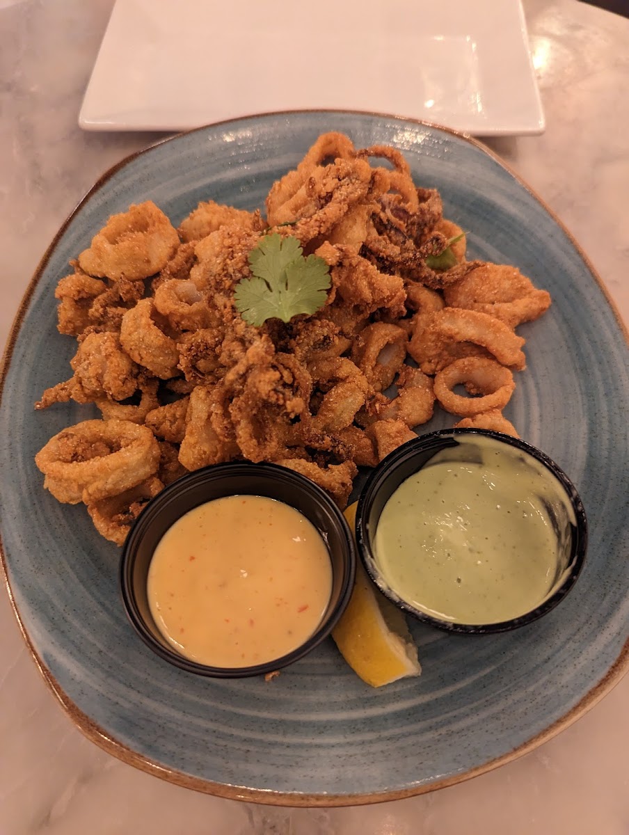 CALAMARI!!!