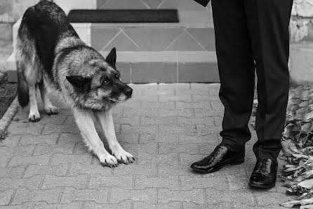 Φωτογράφος γάμων Alena Kin (photokin). Φωτογραφία: 4 Φεβρουαρίου 2019