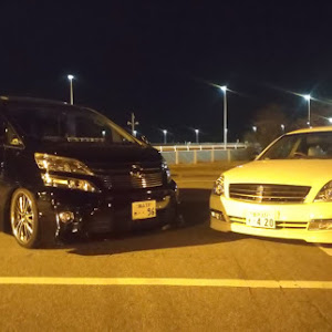ティアナ J31