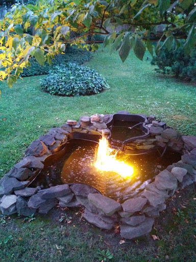 Frog Fountain