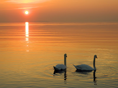 Lago. di Alessia