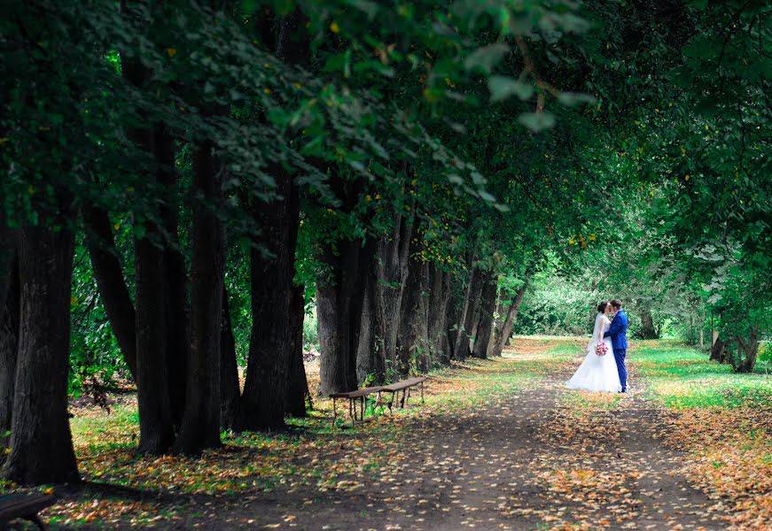 Wedding photographer Svetlana Trifonova (trifoto). Photo of 29 October 2015