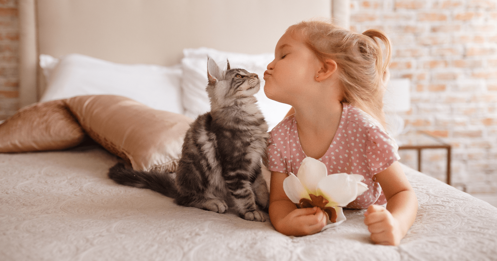 cat and young girl on bed