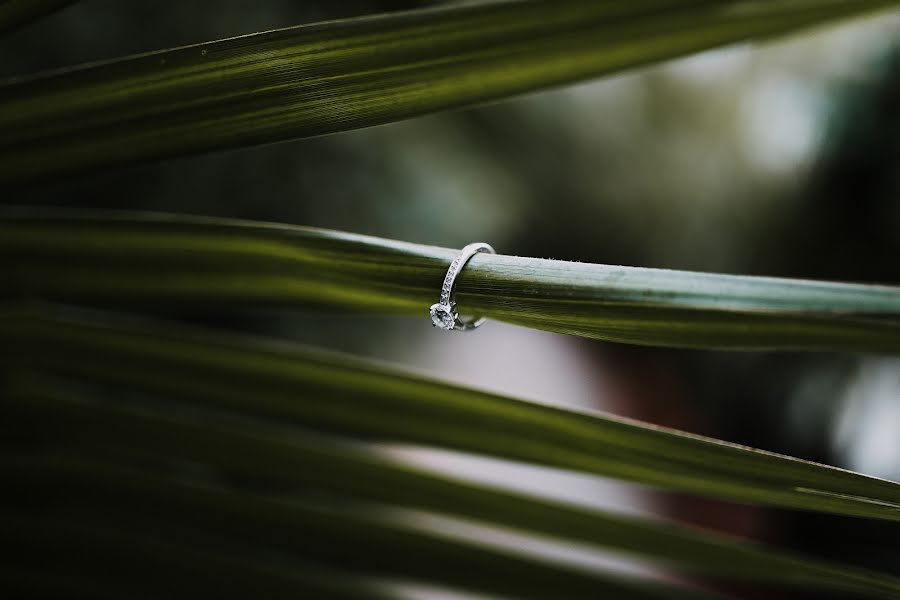 Photographer sa kasal Virág Mészáros (awhjs). Larawan ni 26 Pebrero 2019