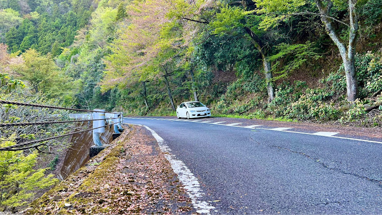 の投稿画像21枚目